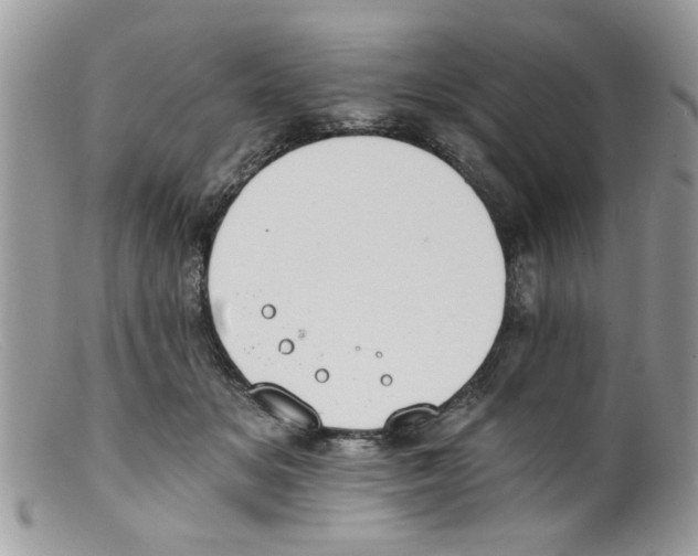 X0000098140509200805151143