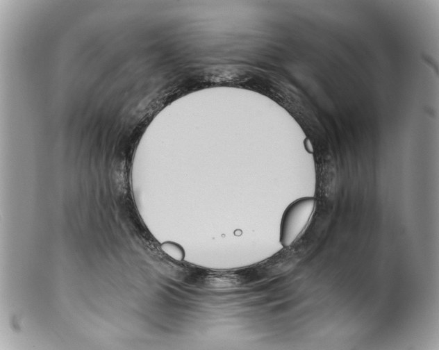 X0000098140510200805151143