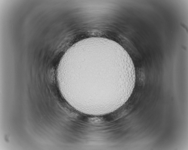 X0000098140511200805151143