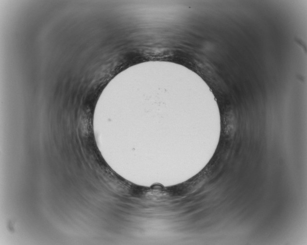 X0000098140515200805151143