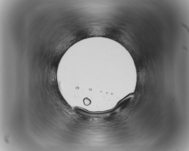 X0000098140517200805151143