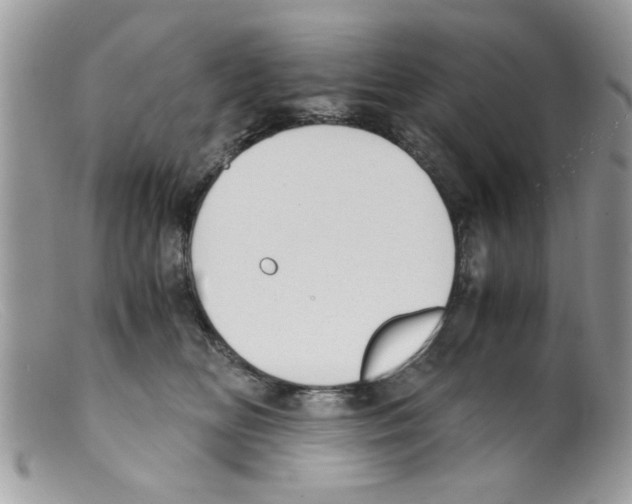 X0000098140518200805151143