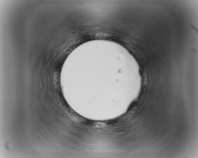 X0000098140519200805151143