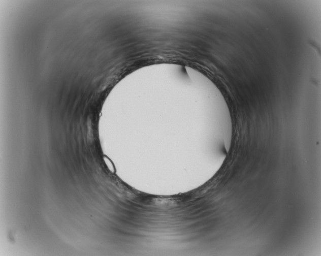 X0000098140520200805151143