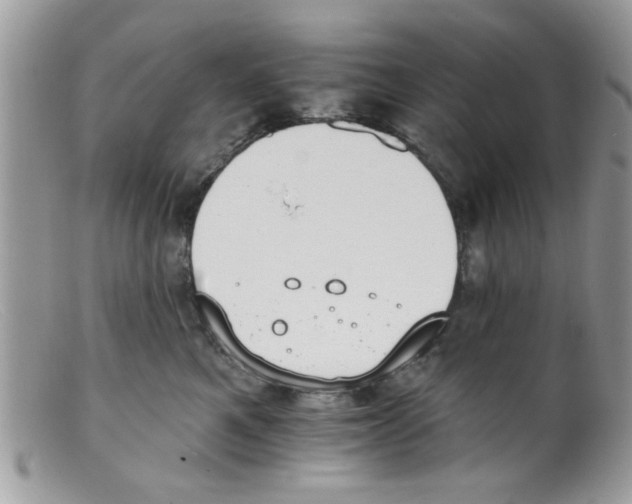 X0000098140521200805151143