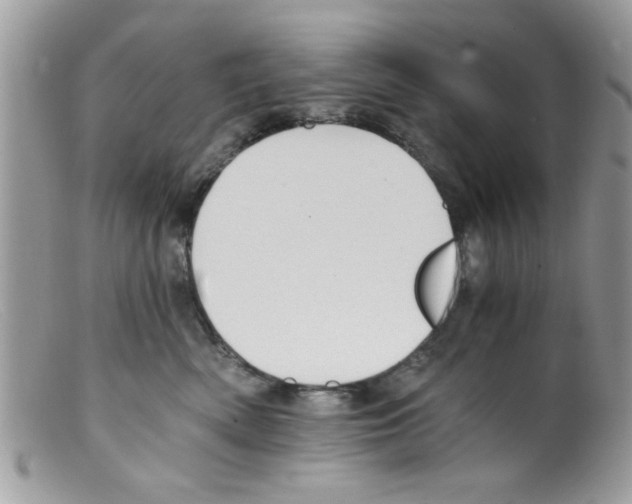 X0000098140522200805151143