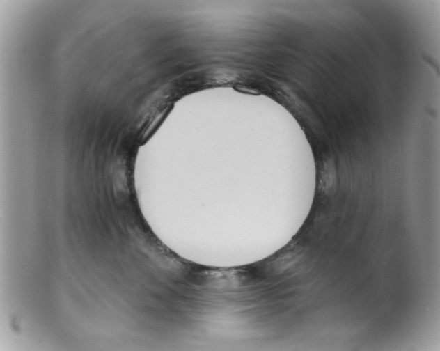 X0000098140524200805151143