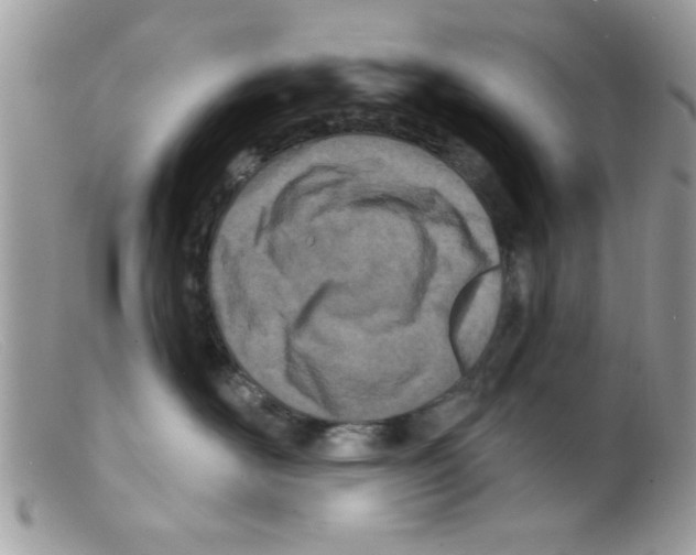 X0000098140526200805151143