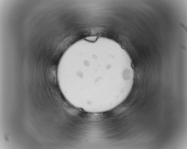 X0000098140527200805151143