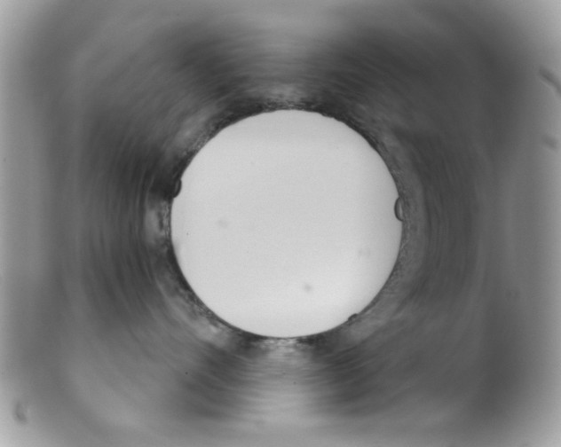 X0000098140528200805151143