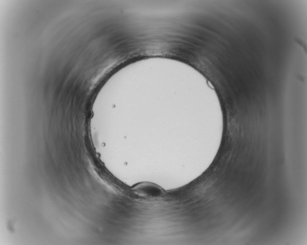 X0000098140530200805151143