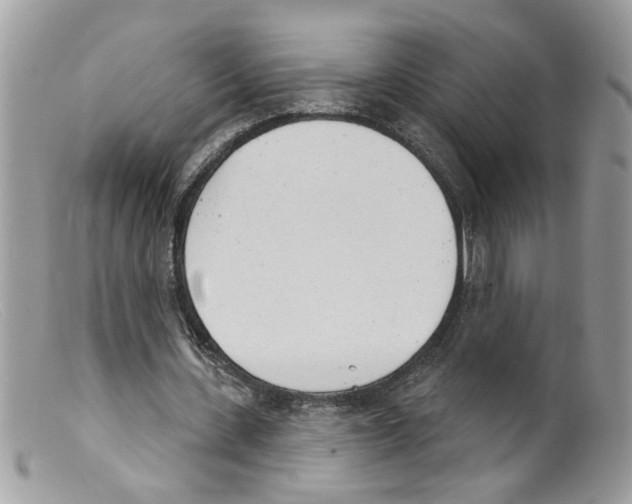 X0000098140531200805151143