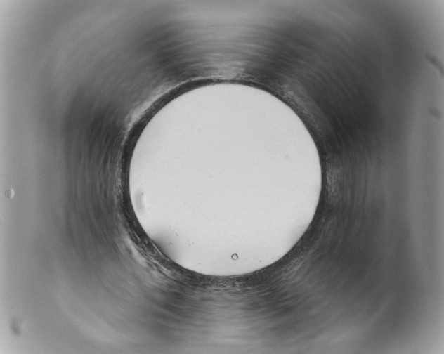 X0000098140532200805151143