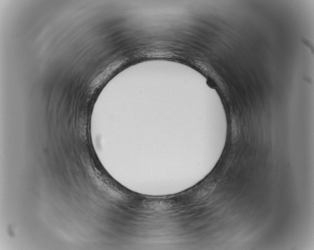 X0000098140533200805151143