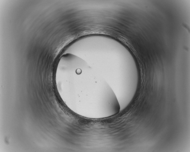 X0000098140534200805151143