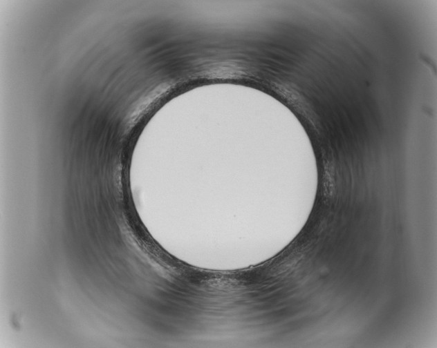 X0000098140535200805151143