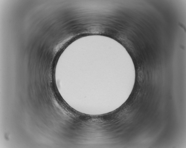 X0000098140536200805151143