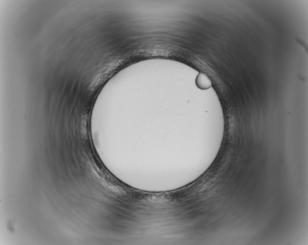 X0000098140537200805151143