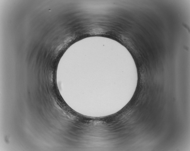 X0000098140539200805151143