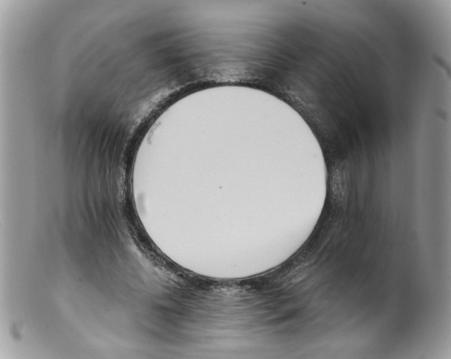 X0000098140540200805151143