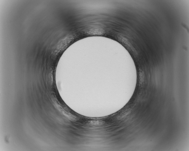 X0000098140541200805151143