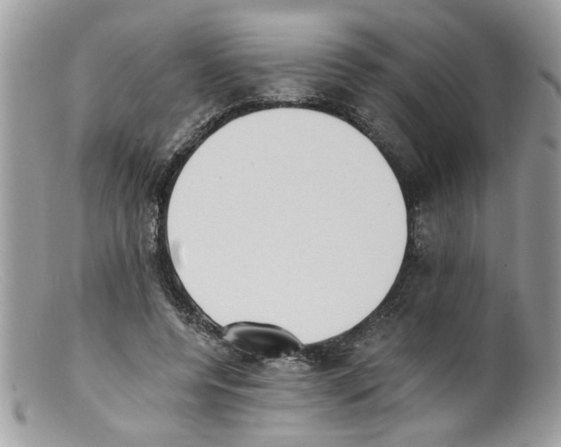 X0000098140544200805151143