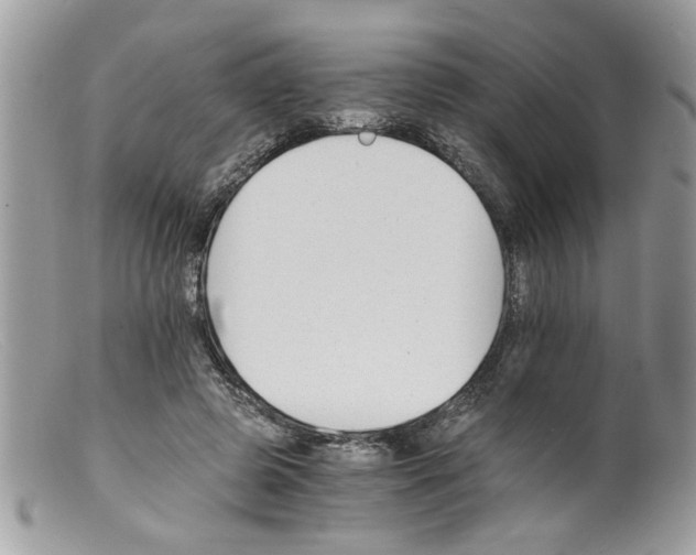 X0000098140545200805151143