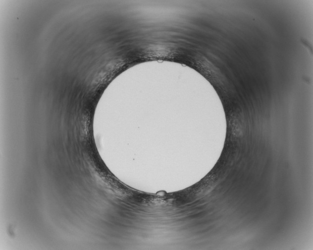 X0000098140546200805151143