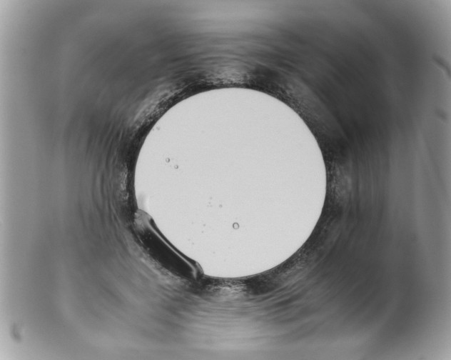 X0000098140548200805151143