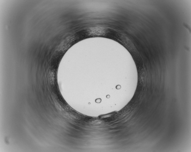 X0000098140551200805151143