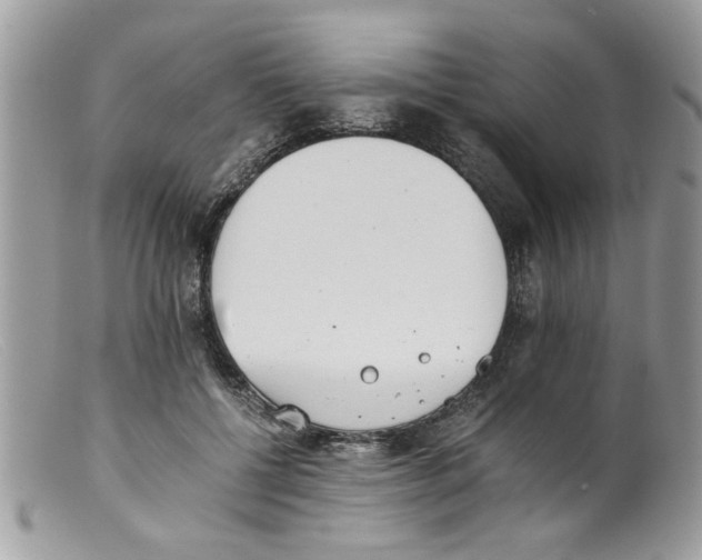 X0000098140552200805151143