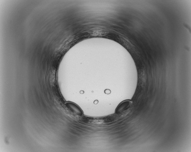 X0000098140554200805151143