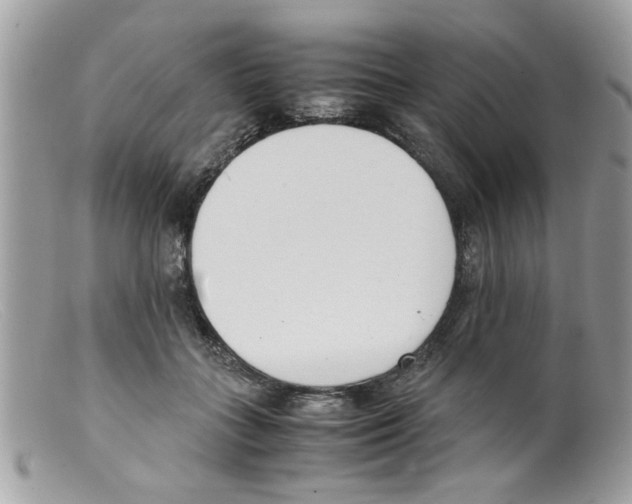 X0000098140555200805151143