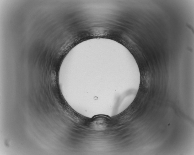 X0000098140556200805151143