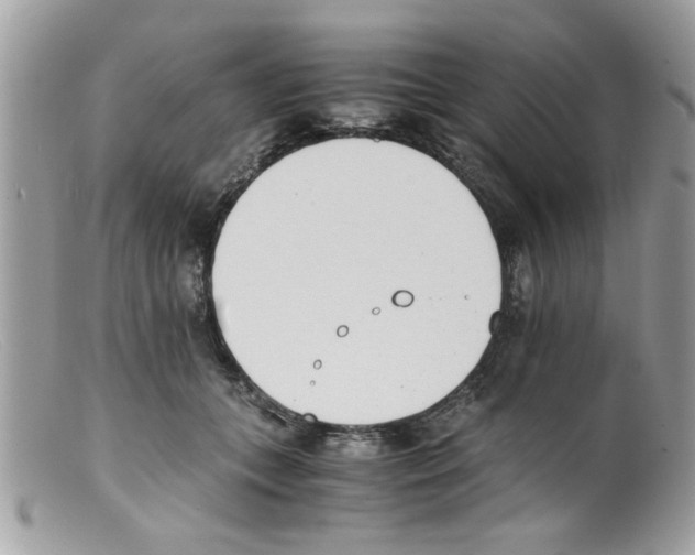 X0000098140559200805151143