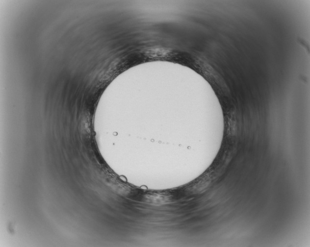 X0000098140561200805151143