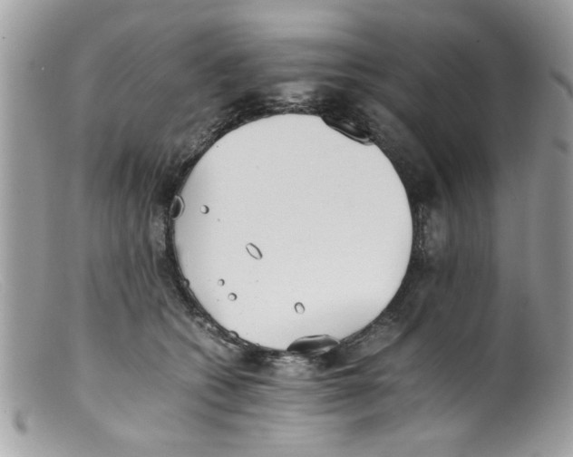 X0000098140562200805151143