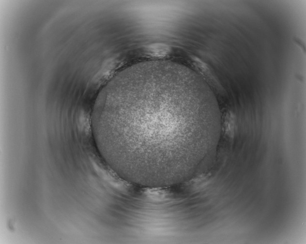 X0000098140568200805151143