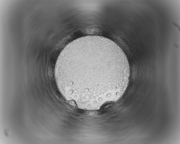 X0000098140569200805151143