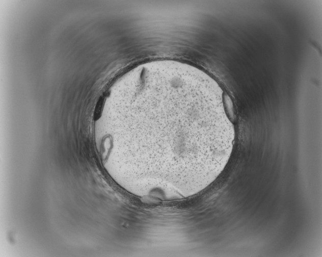 X0000098140577200805151143