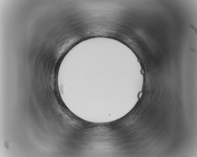 X0000098140578200805151143