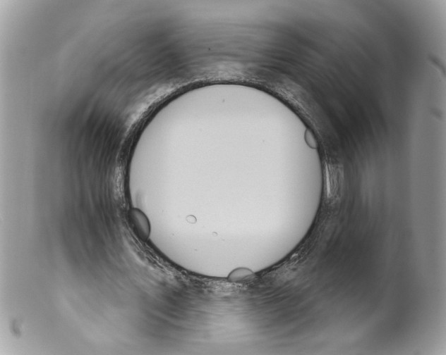 X0000098140579200805151143