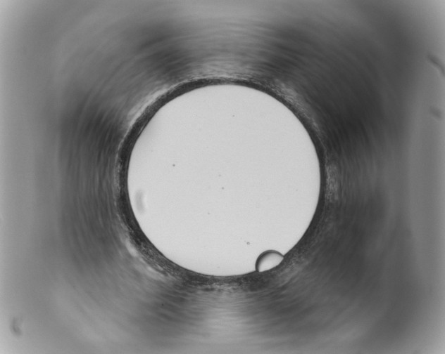 X0000098140580200805151142