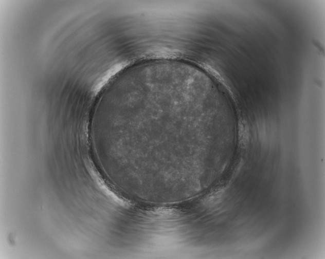 X0000098140581200805151142