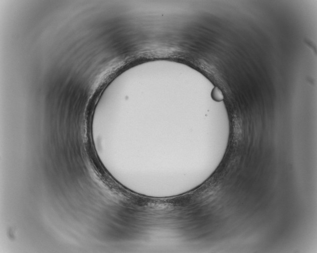 X0000098140582200805151142