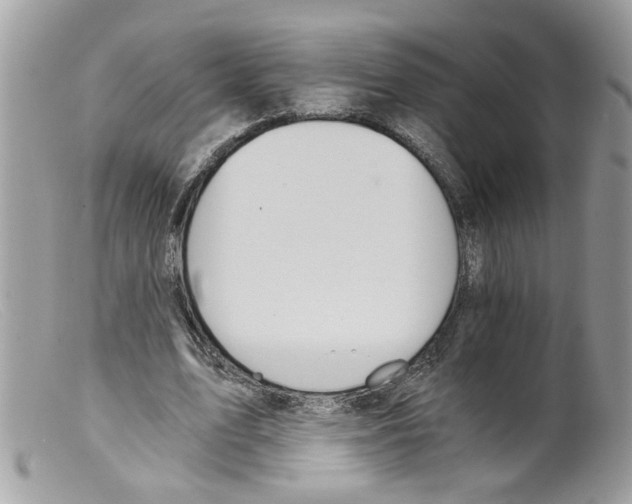 X0000098140583200805151142