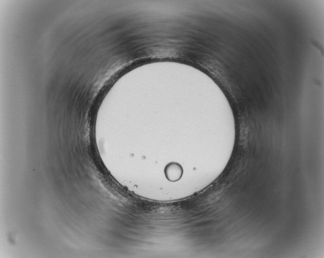 X0000098140584200805151142