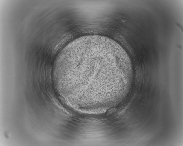 X0000098140585200805151142