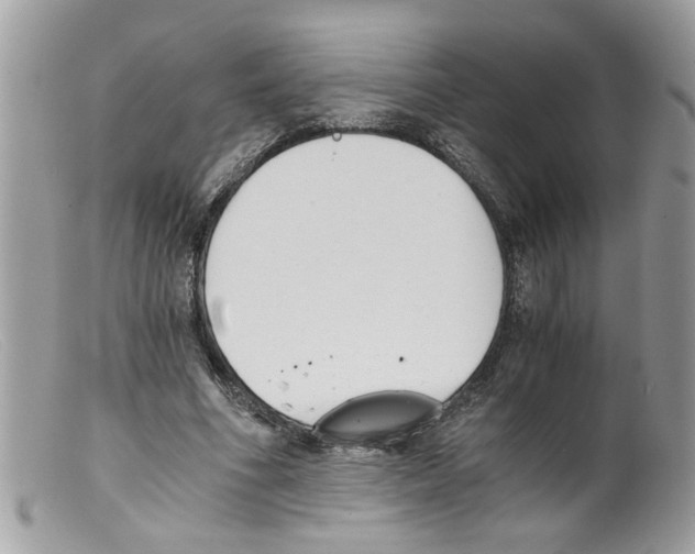 X0000098140586200805151142