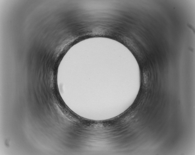 X0000098140588200805151142